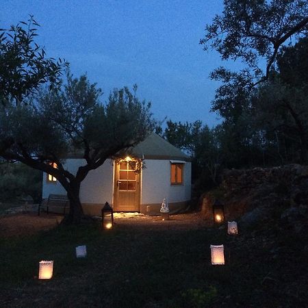 ホテル Yurta Mongola Delta Del Ebro Camarles エクステリア 写真