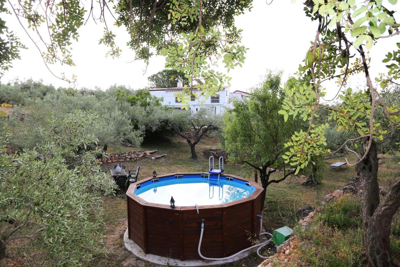 ホテル Yurta Mongola Delta Del Ebro Camarles エクステリア 写真
