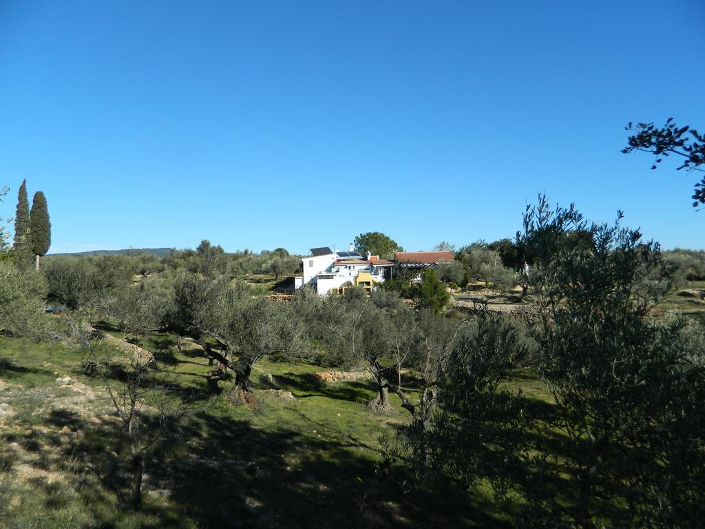 ホテル Yurta Mongola Delta Del Ebro Camarles エクステリア 写真