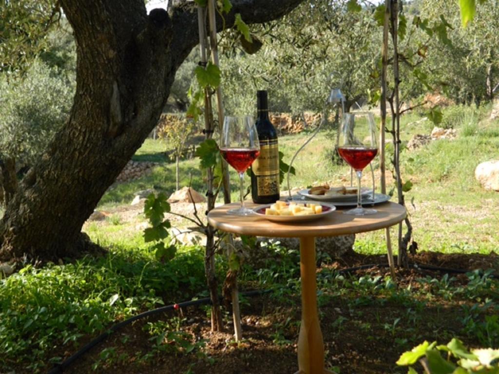 ホテル Yurta Mongola Delta Del Ebro Camarles エクステリア 写真