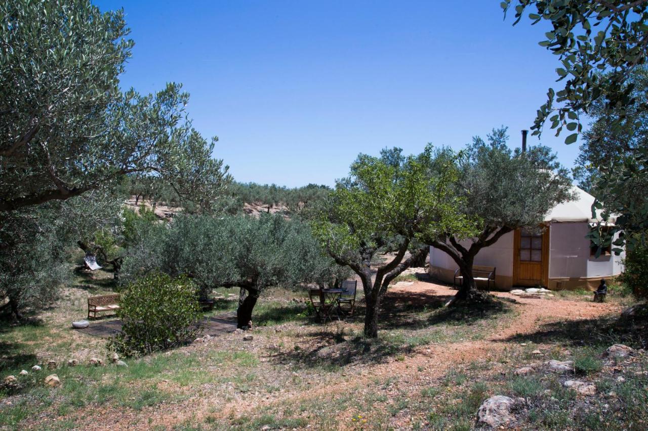 ホテル Yurta Mongola Delta Del Ebro Camarles エクステリア 写真