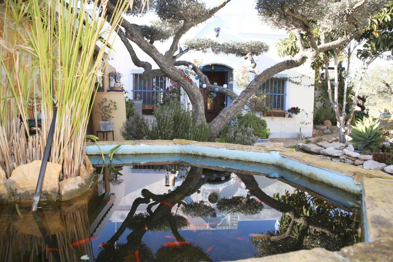 ホテル Yurta Mongola Delta Del Ebro Camarles エクステリア 写真