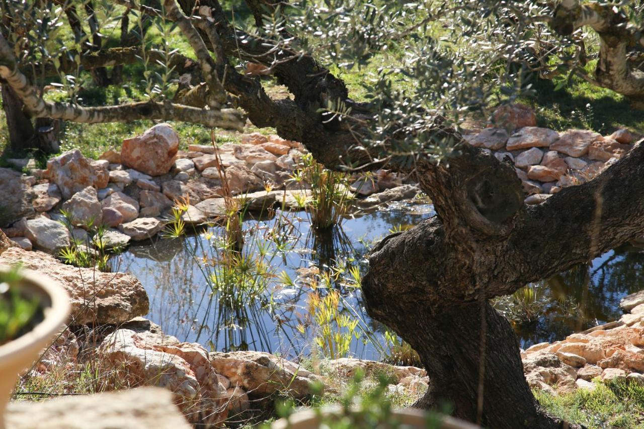 ホテル Yurta Mongola Delta Del Ebro Camarles エクステリア 写真